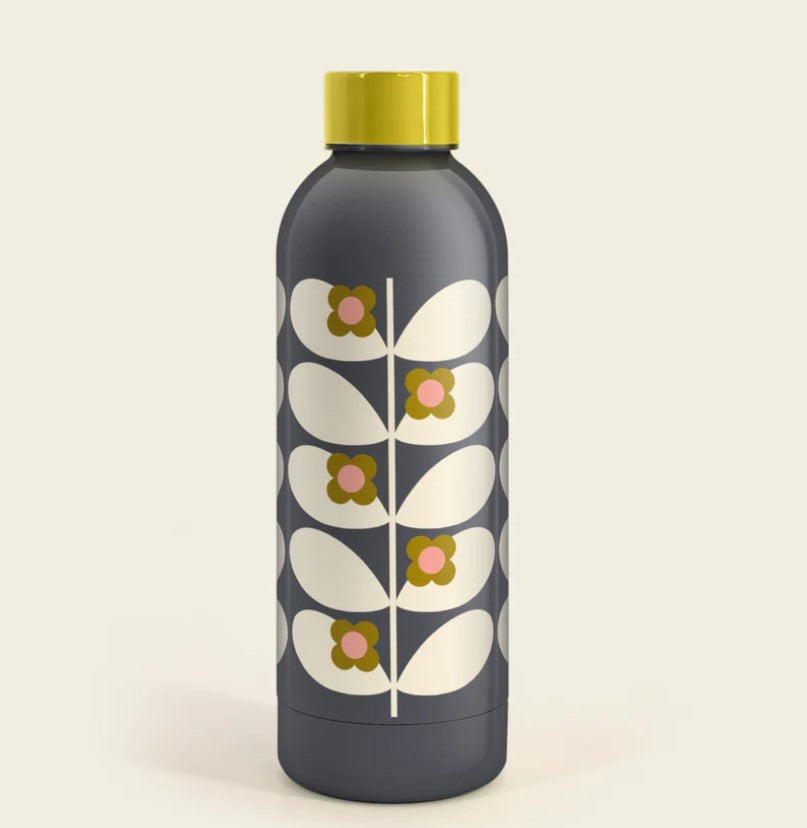 Stainless Steel Water Bottle - Wild Rose Stem