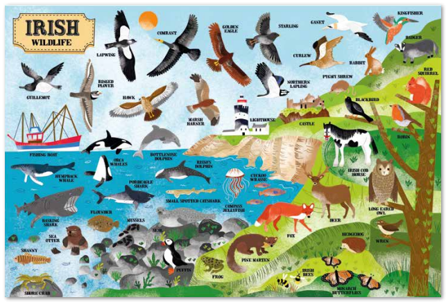 Irish Wildlife 200 Piece Jigsaw Puzzle