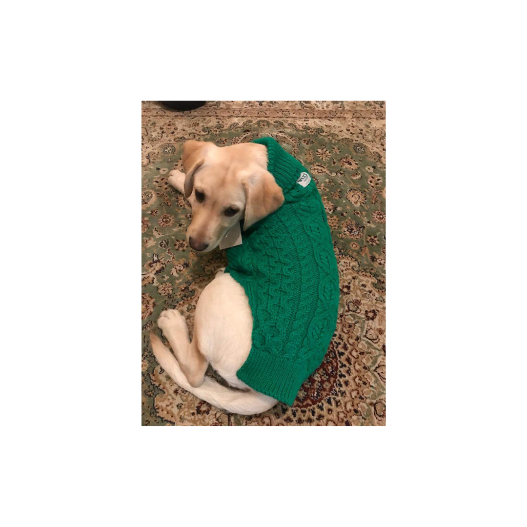 Kelly Green Aran Knit Dog Sweater