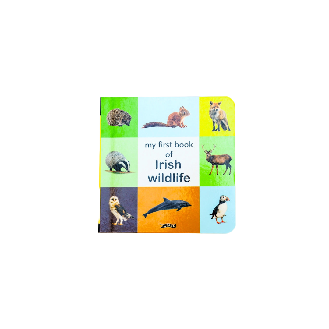 My First Book of Irish Wildlife KIDS