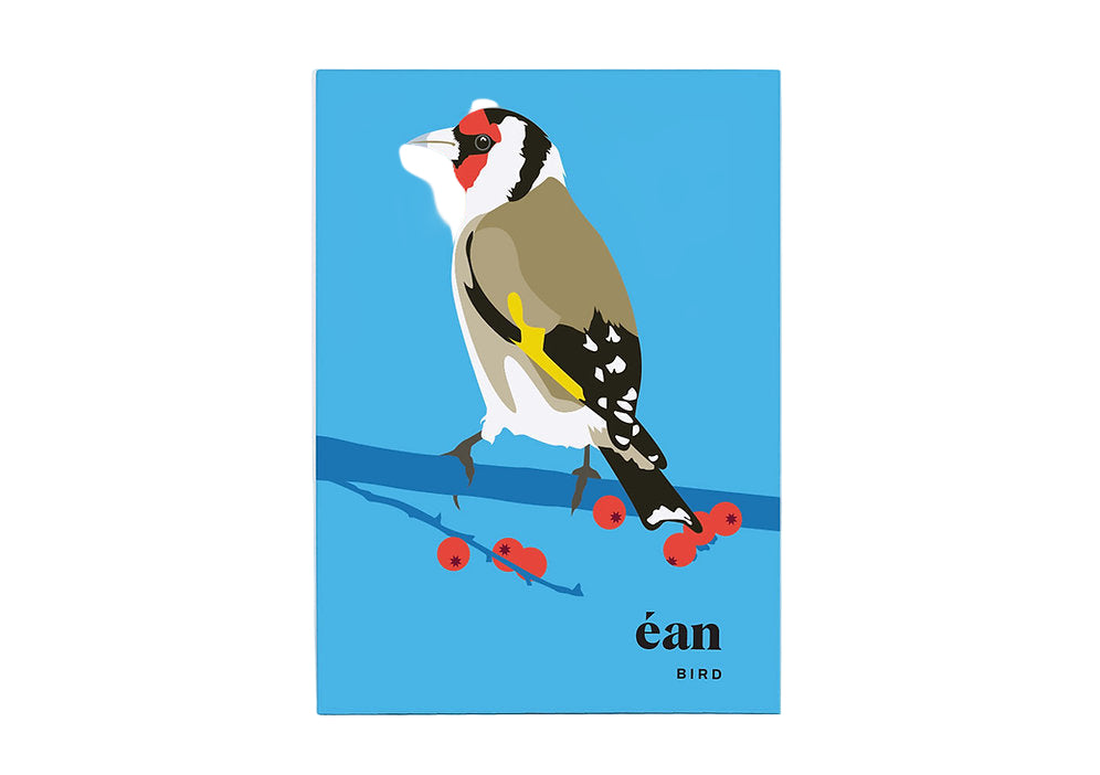 Bird – Greeting Cards
