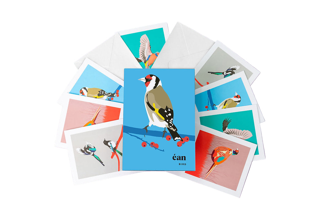 Bird – Greeting Cards