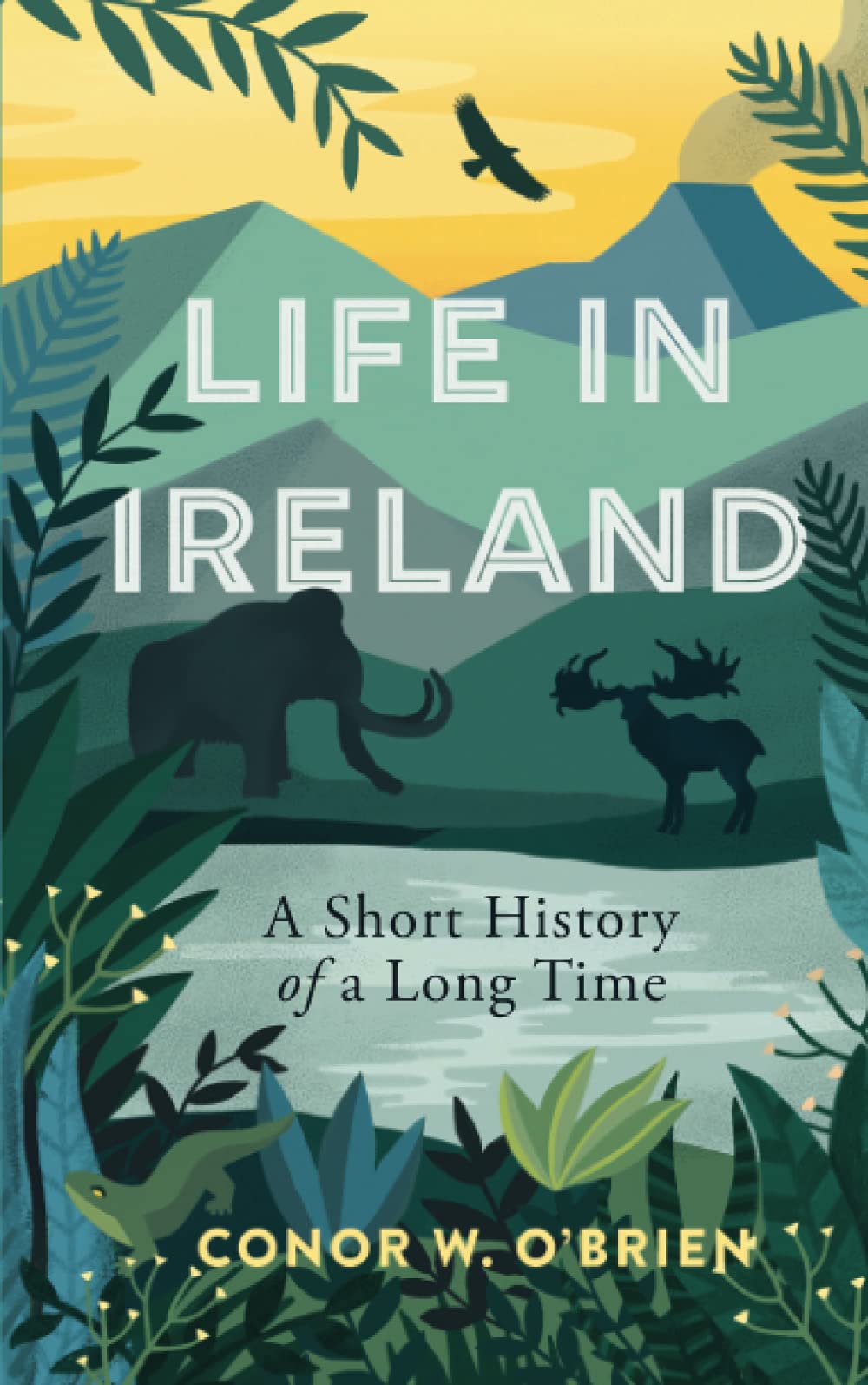Life in Ireland, A Short Story of a Long Time - Conor W. O'Brien